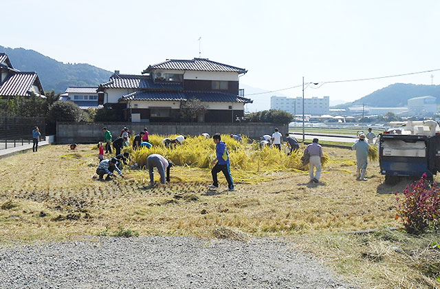 米作り活動image